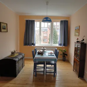 Dasos Kynthos Bruselas